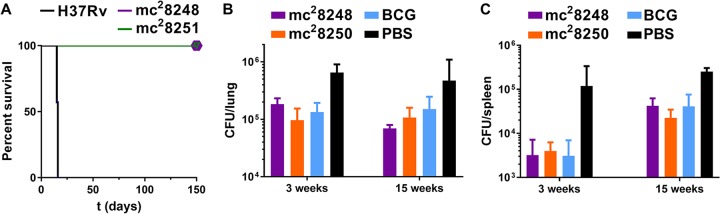 FIG 6 