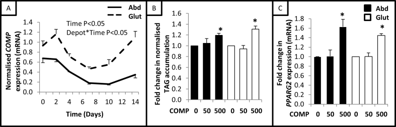 Figure 3