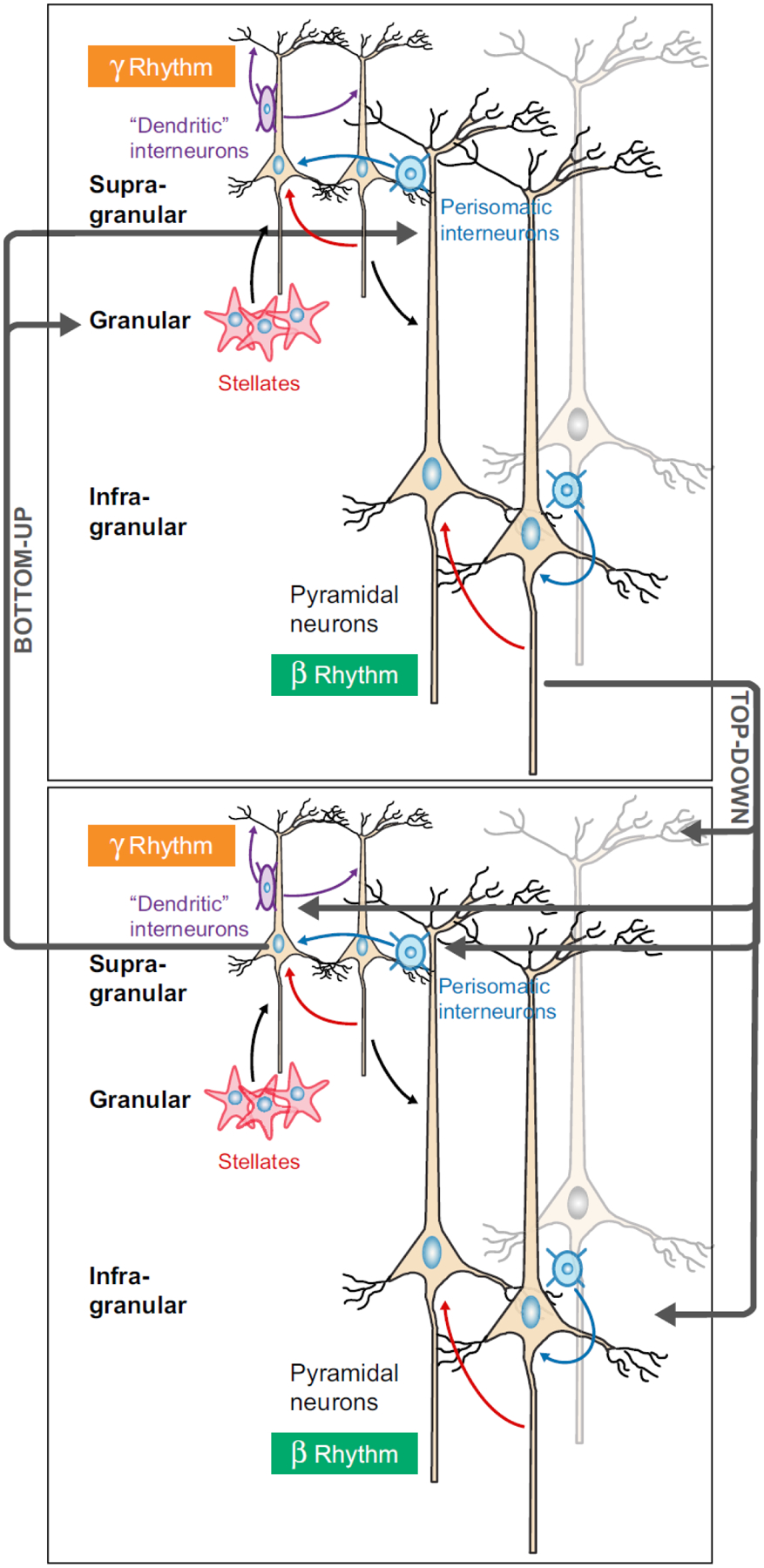 Figure 12.