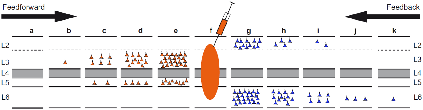 Figure 11.