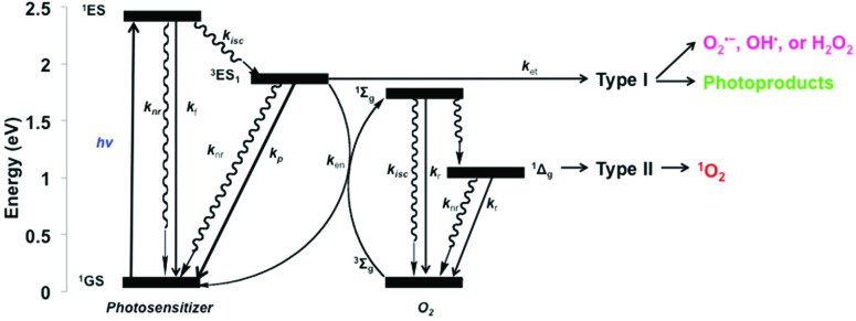 Fig. 6