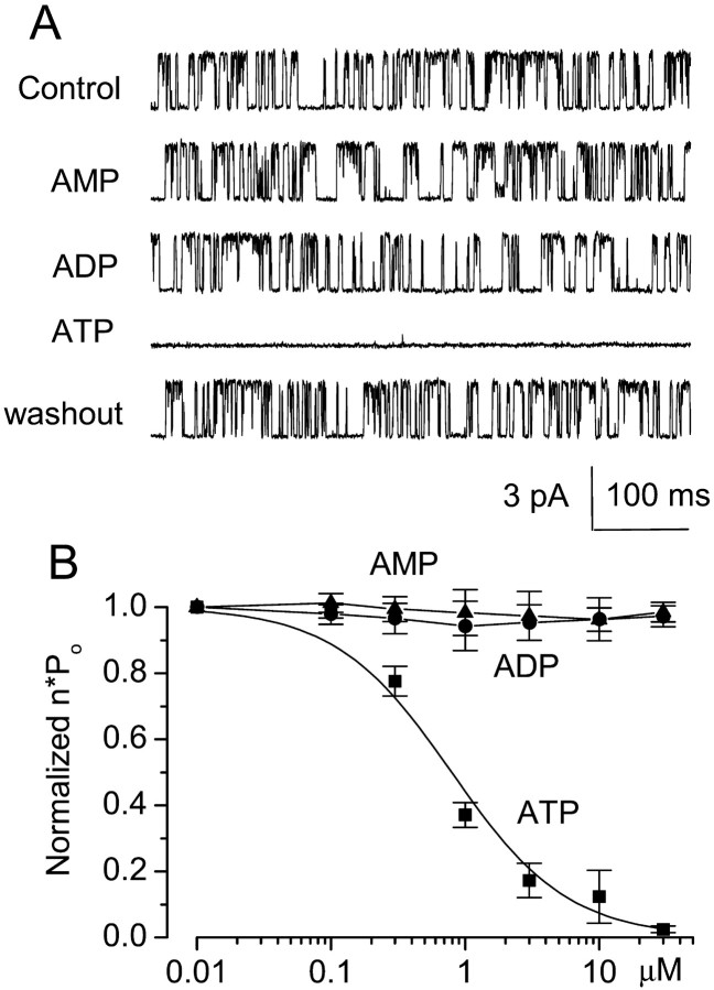 Fig. 7.