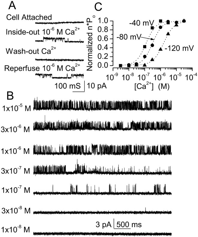 Fig. 8.