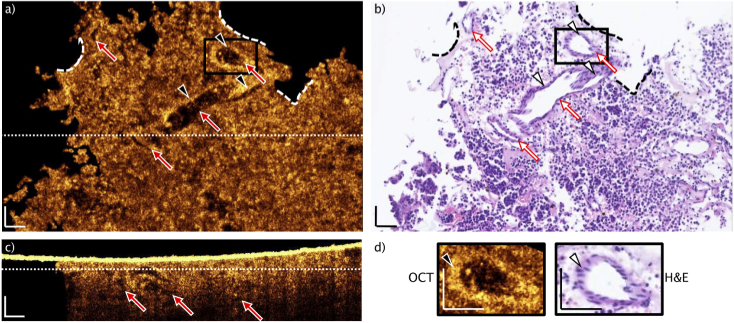 Fig. 4.