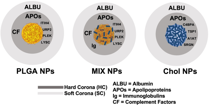 Unlabelled Image