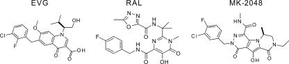 FIG. 1.