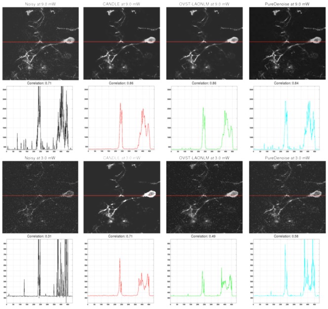 Figure 10