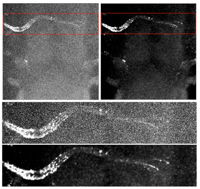 Figure 14