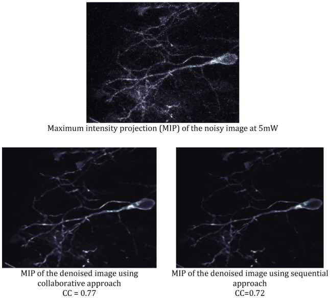 Figure 12