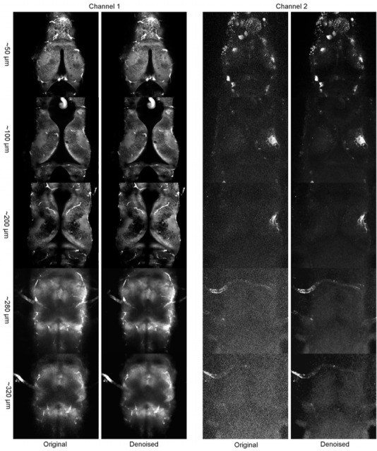 Figure 13