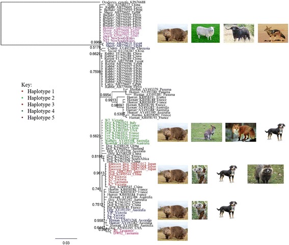 Fig. 3