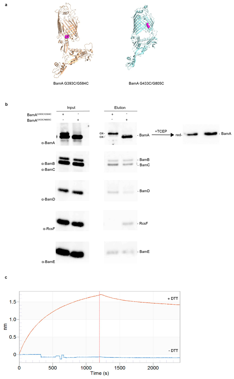 Extended Data Fig. 5