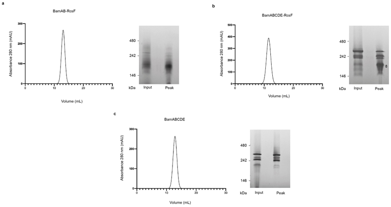 Extended Data Fig. 1