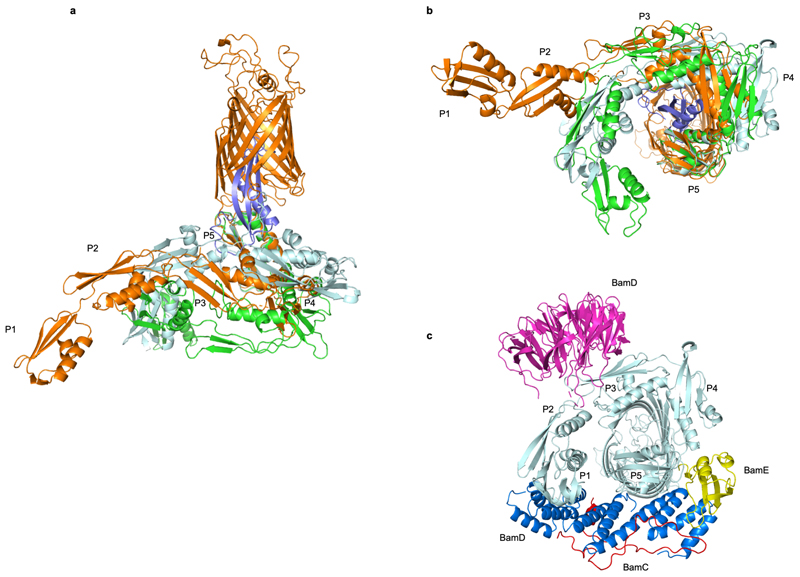 Extended Data Fig. 3