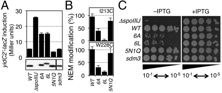 Fig. 3.