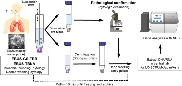 FIGURE 1