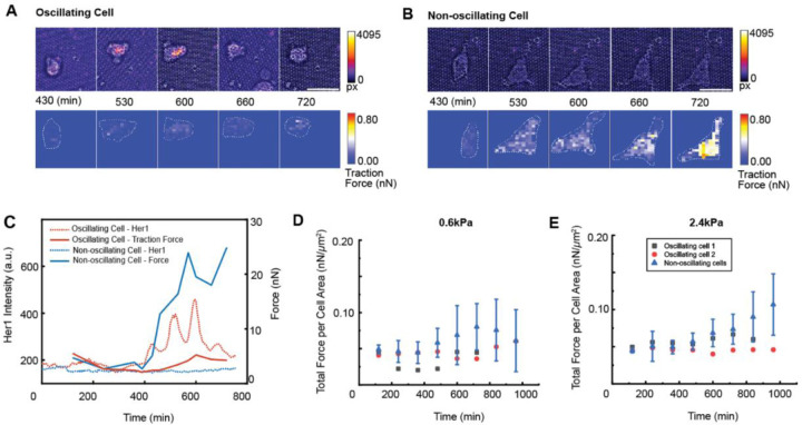 Figure 4: