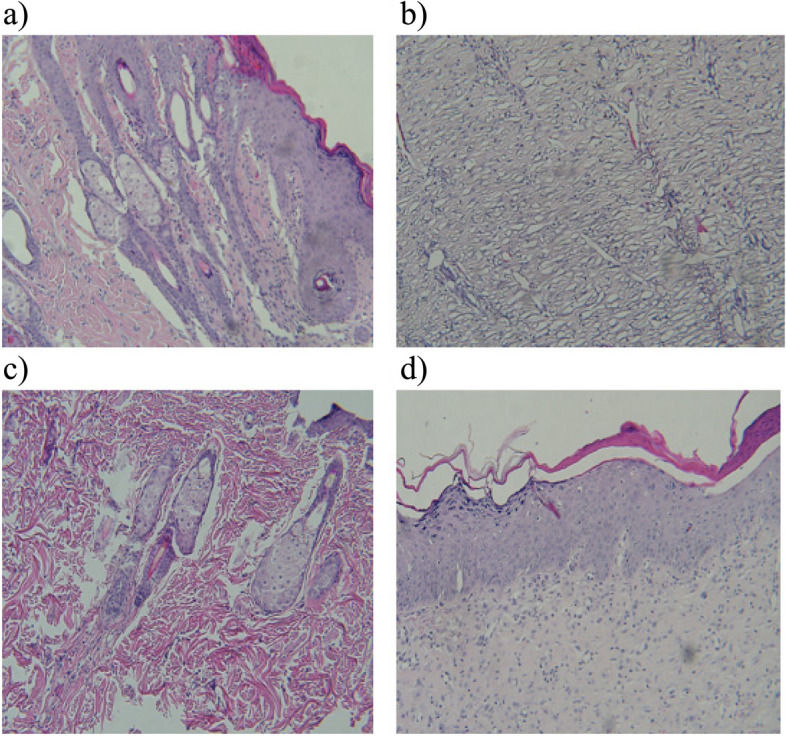 Fig. 8