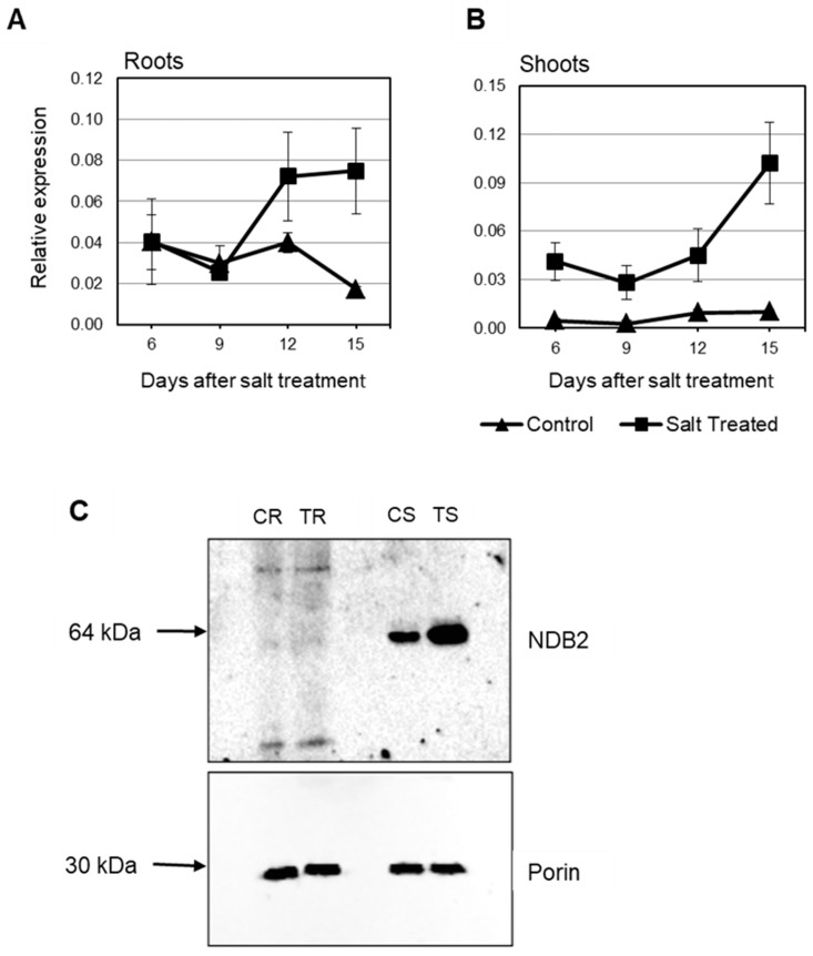 Figure 9