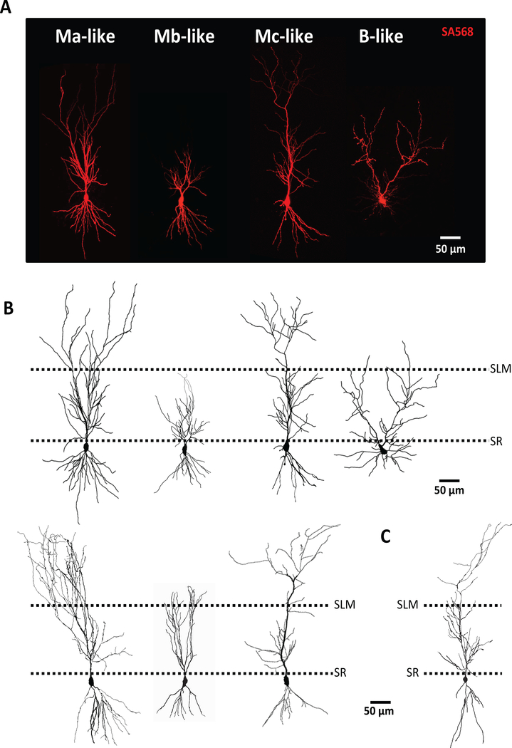 Figure 1.