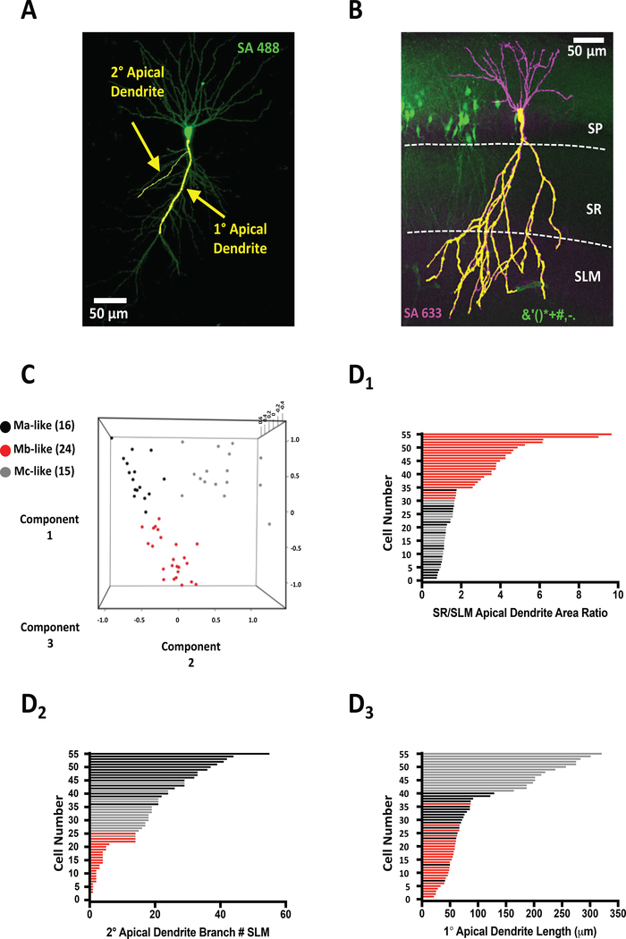 Figure 2.