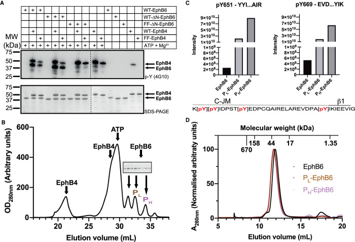 Figure 4.