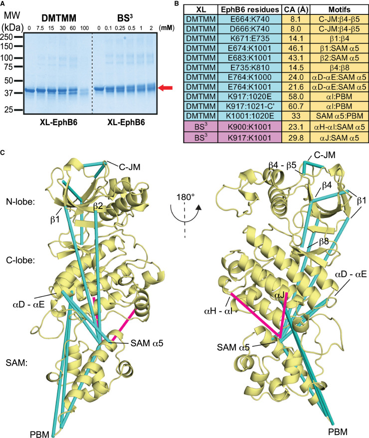 Figure 3.