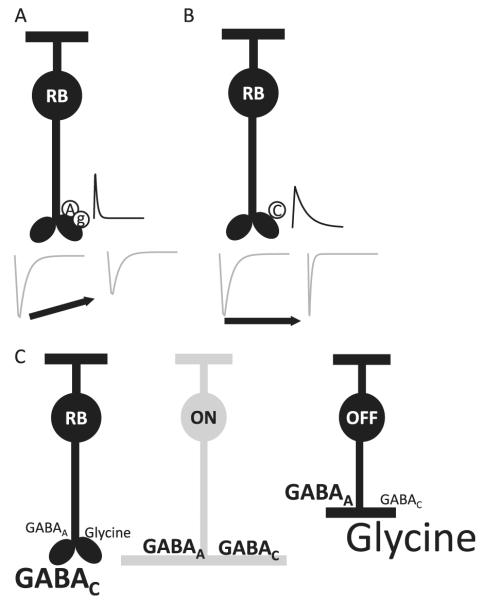 Fig. 10