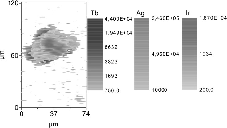 Fig. 5