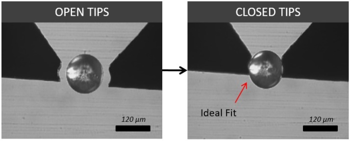 Figure 17