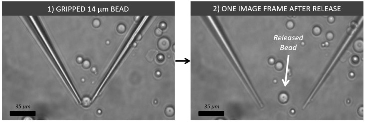 Figure 23