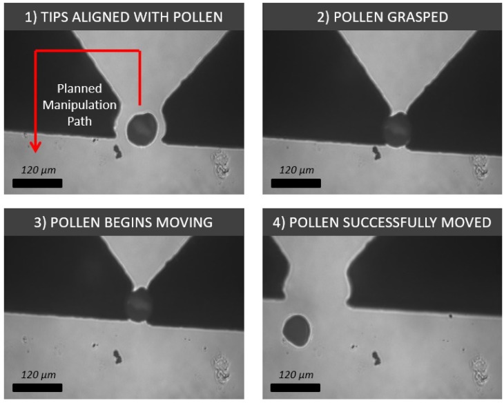 Figure 19