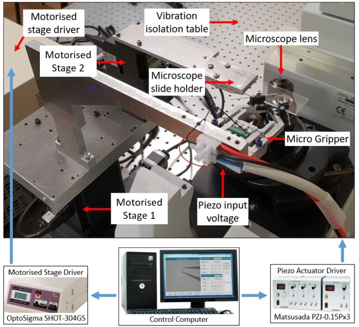 Figure 10