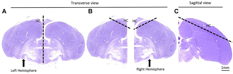 FIGURE 3