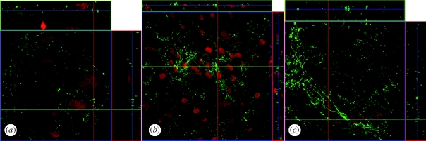 Figure 4.