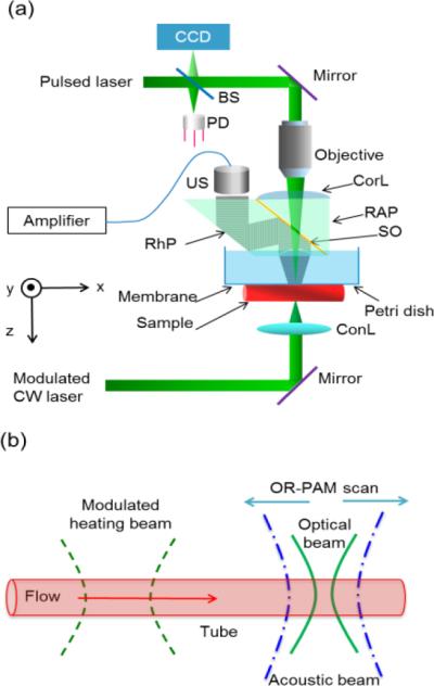 Fig. 1