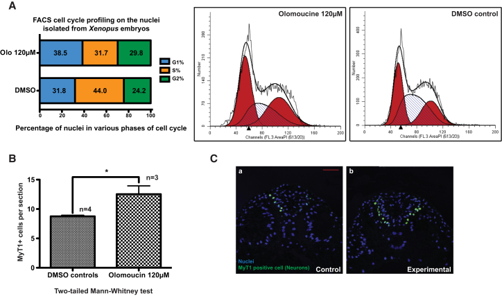 Figure 6