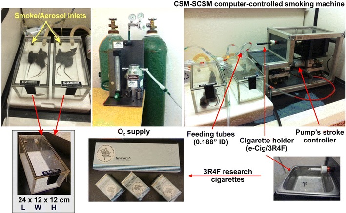 Fig. 2