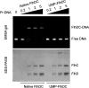 FIG 5