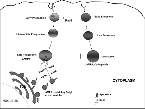 FIGURE 10.