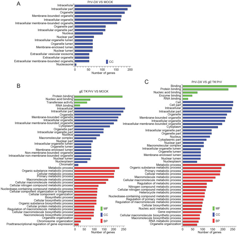 Differential Circrna Expression Profiles In Pk Cells Infected With