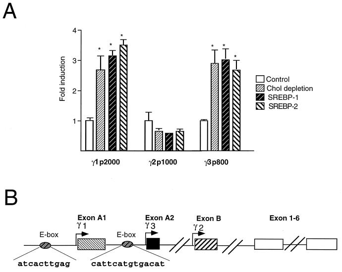 FIG. 4