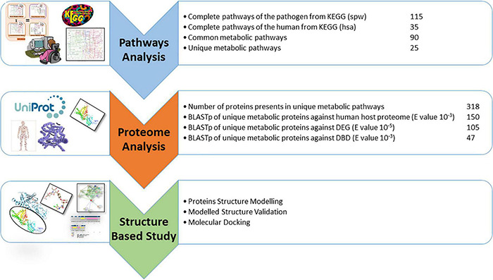 FIGURE 3