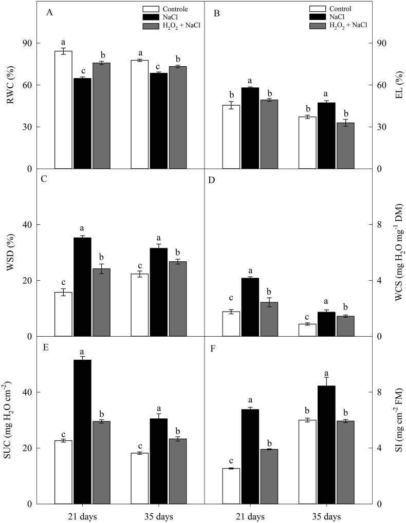 Figure 3