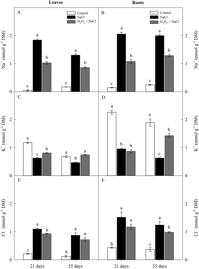 Figure 4