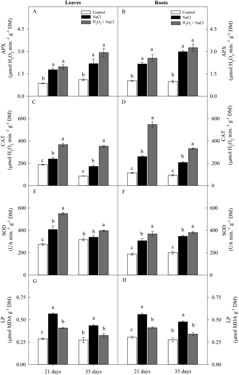 Figure 6