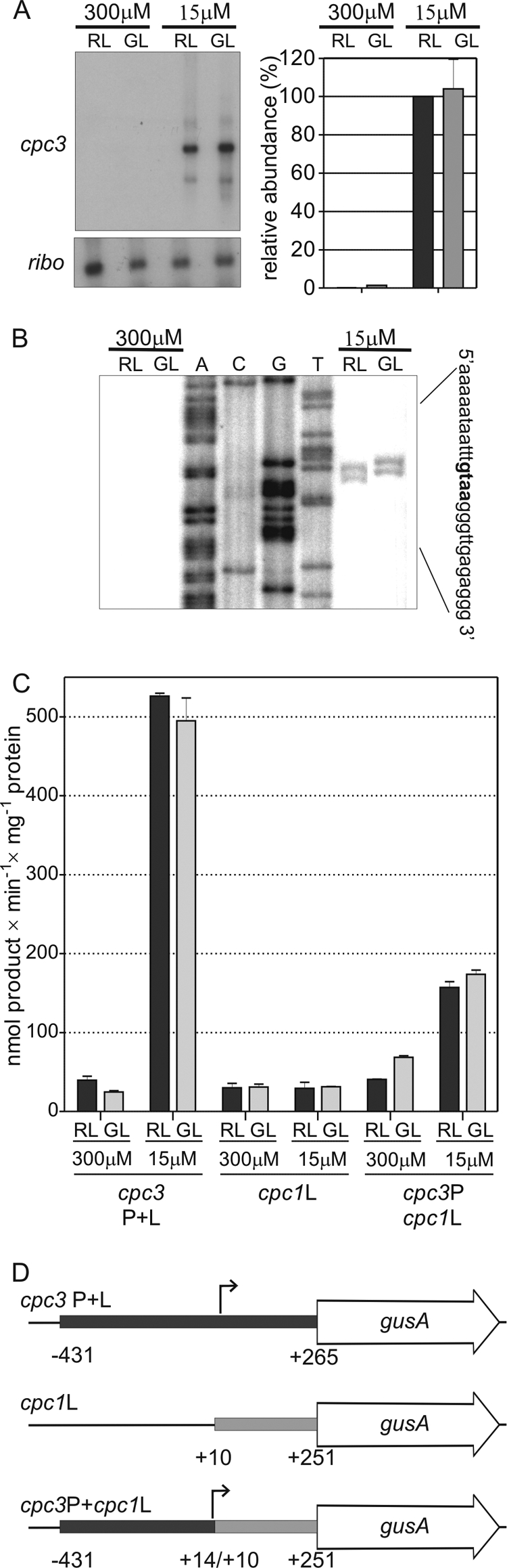 FIG. 2.