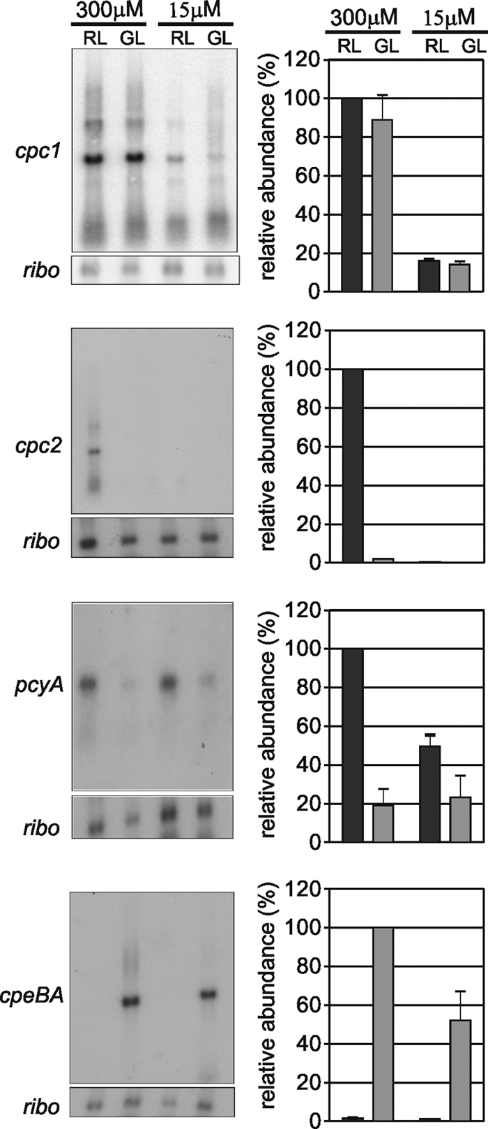 FIG. 5.