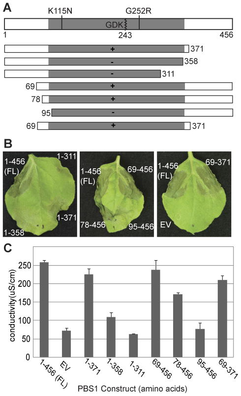 Fig. 2