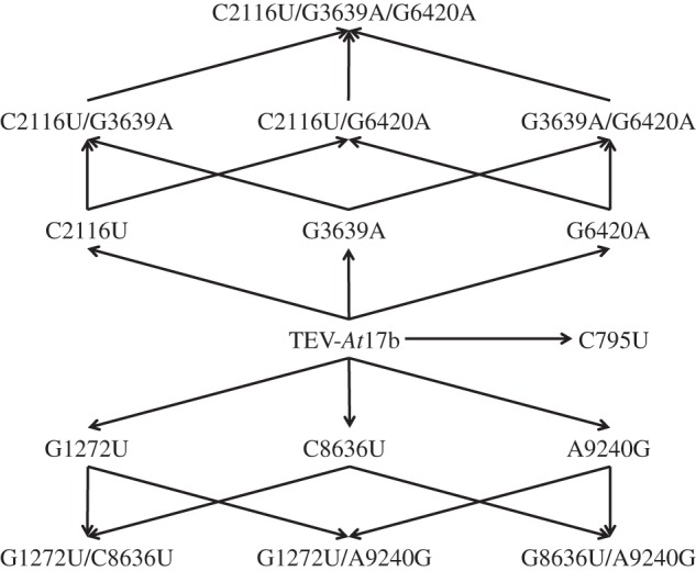 Figure 2.